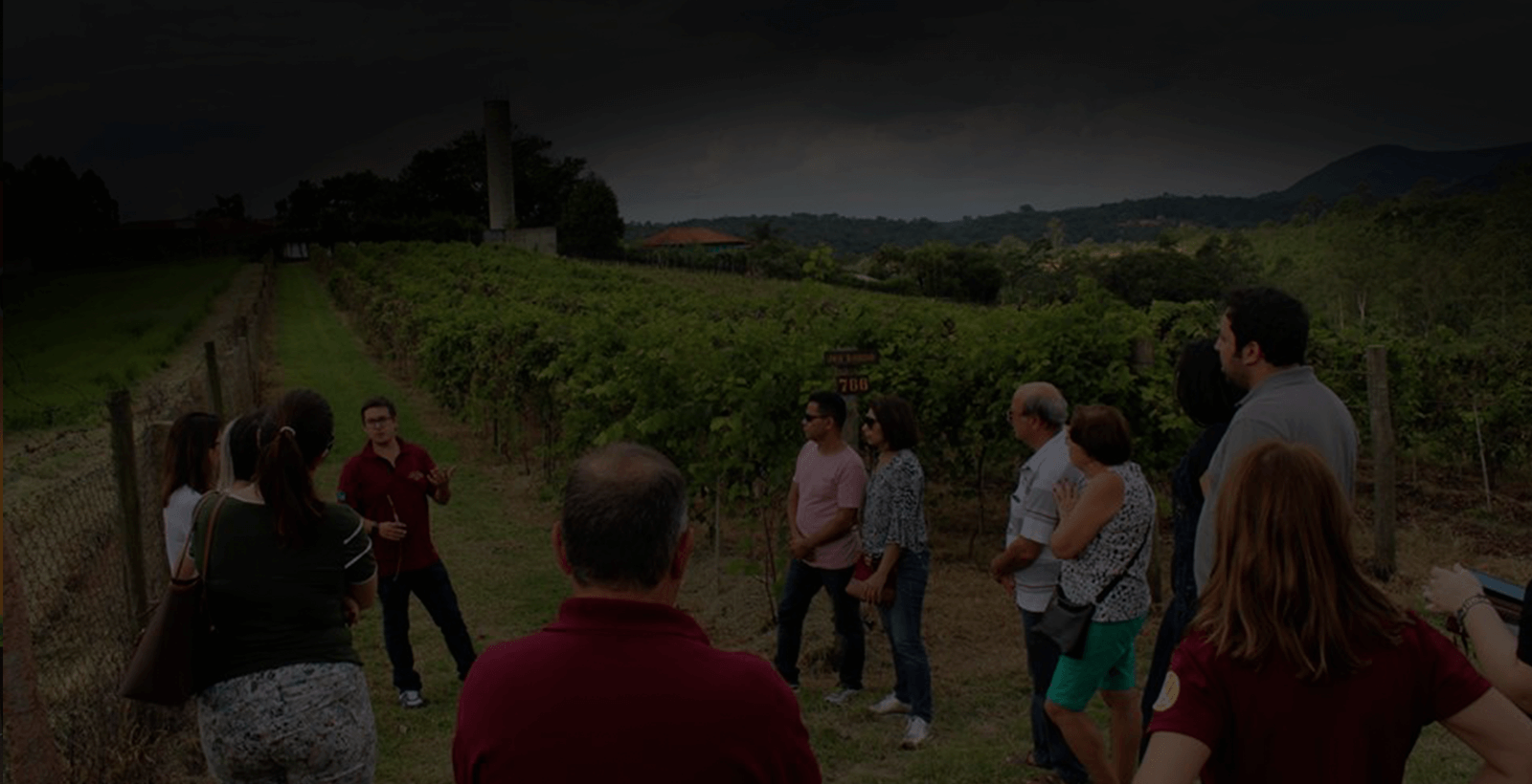 Experiências na Vinícola Castanho Experiências na Vinícola Castanho