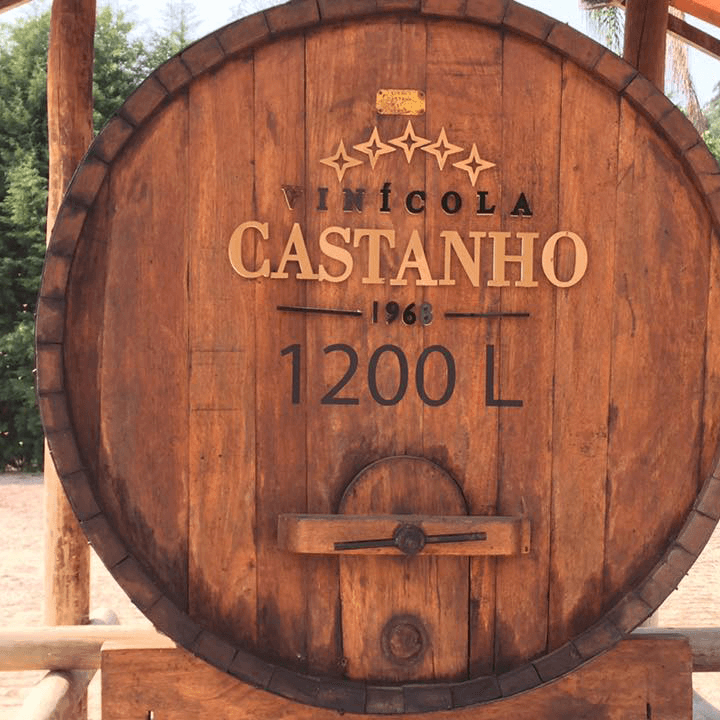 Conheça e vivencie a Experiência Castanho