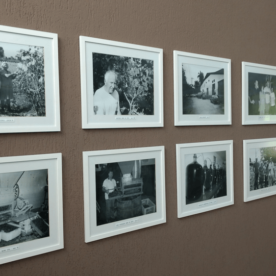 Adega e Degustação - Vinícola Castanho