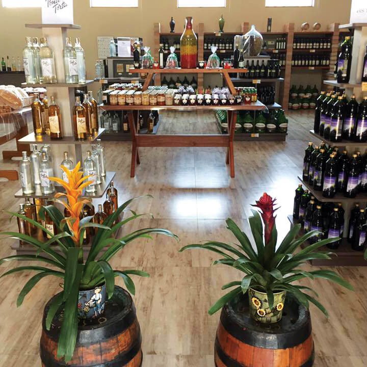 Adega e Degustação - Vinícola Castanho