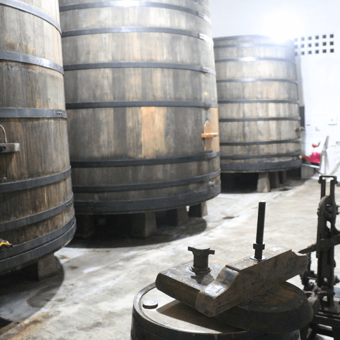 Adega e Degustação - Vinícola Castanho