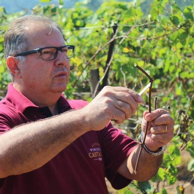 Tour do vinho em Jundiaí - Vinícola Castanho