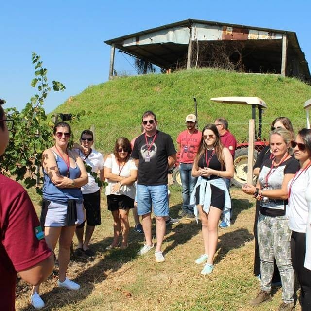 Tour do vinho em Jundiaí - Vinícola Castanho