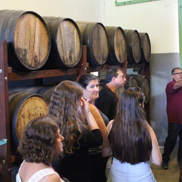 Tour do vinho em Jundiaí - Vinícola Castanho