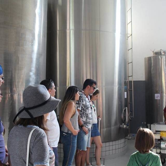 Tour do vinho em Jundiaí - Vinícola Castanho