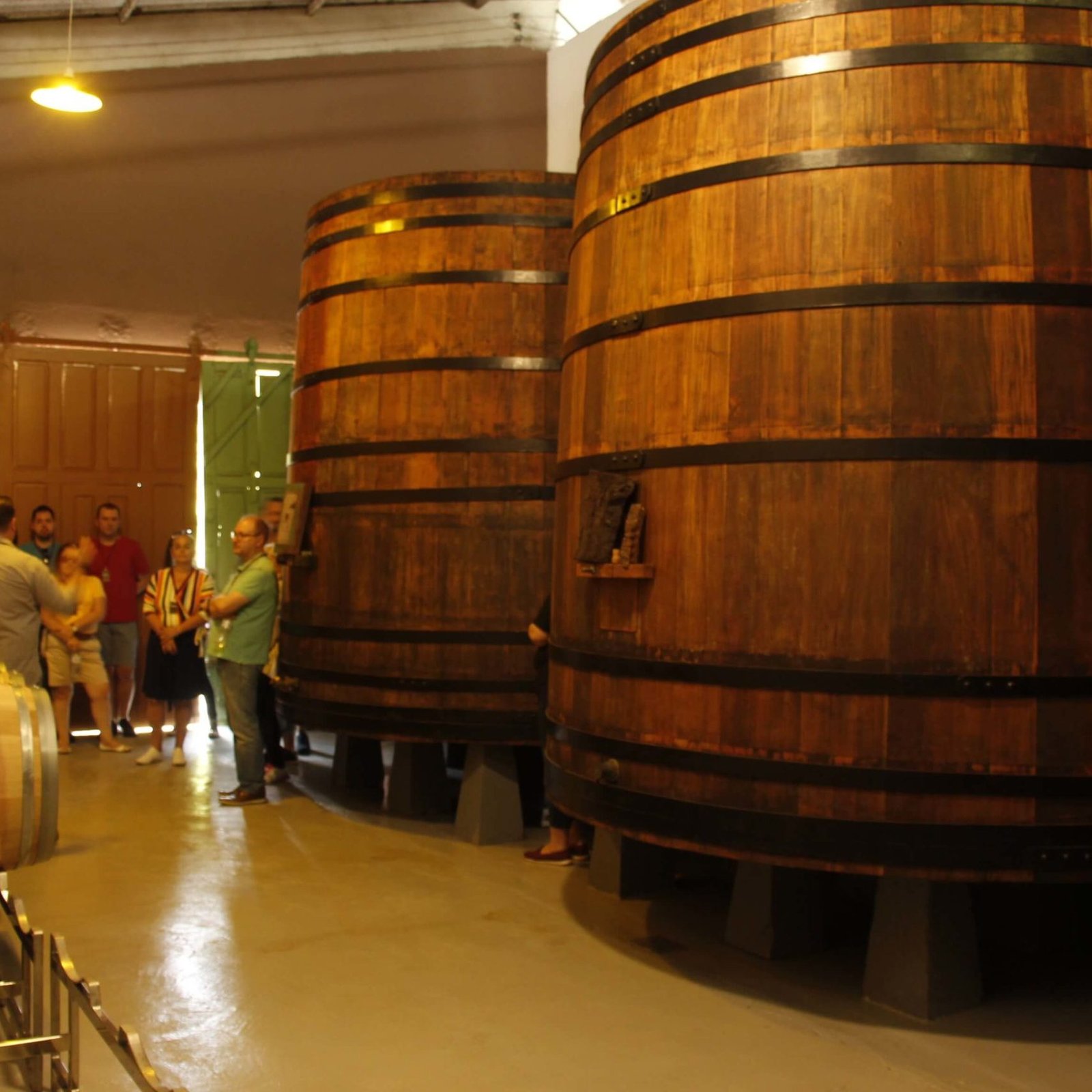 Tour do vinho em Jundiaí - Vinícola Castanho