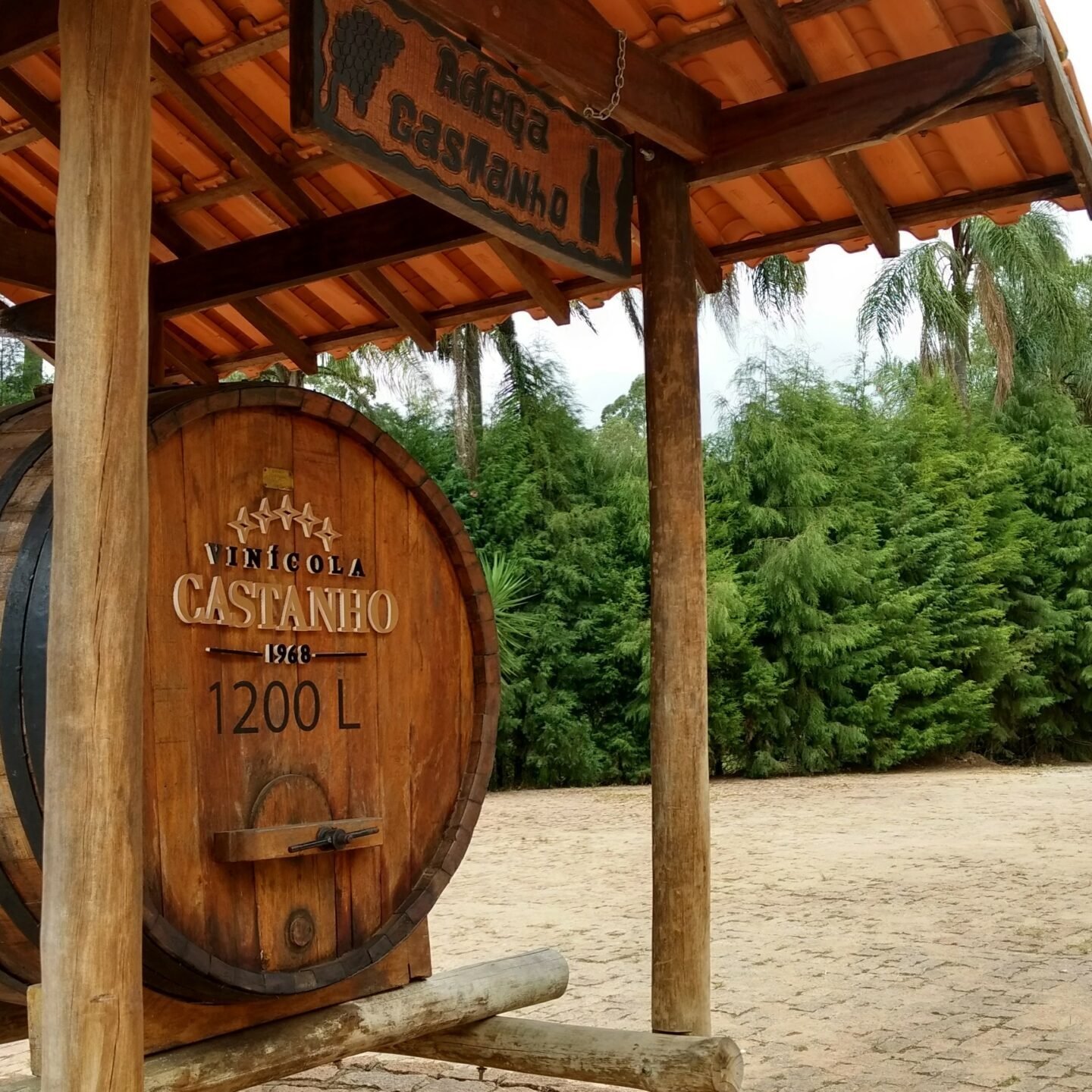 Tonel Vinícola Castanho - Rota do Vinho