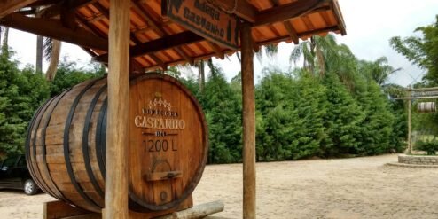 Tonel Vinícola Castanho - Rota do Vinho