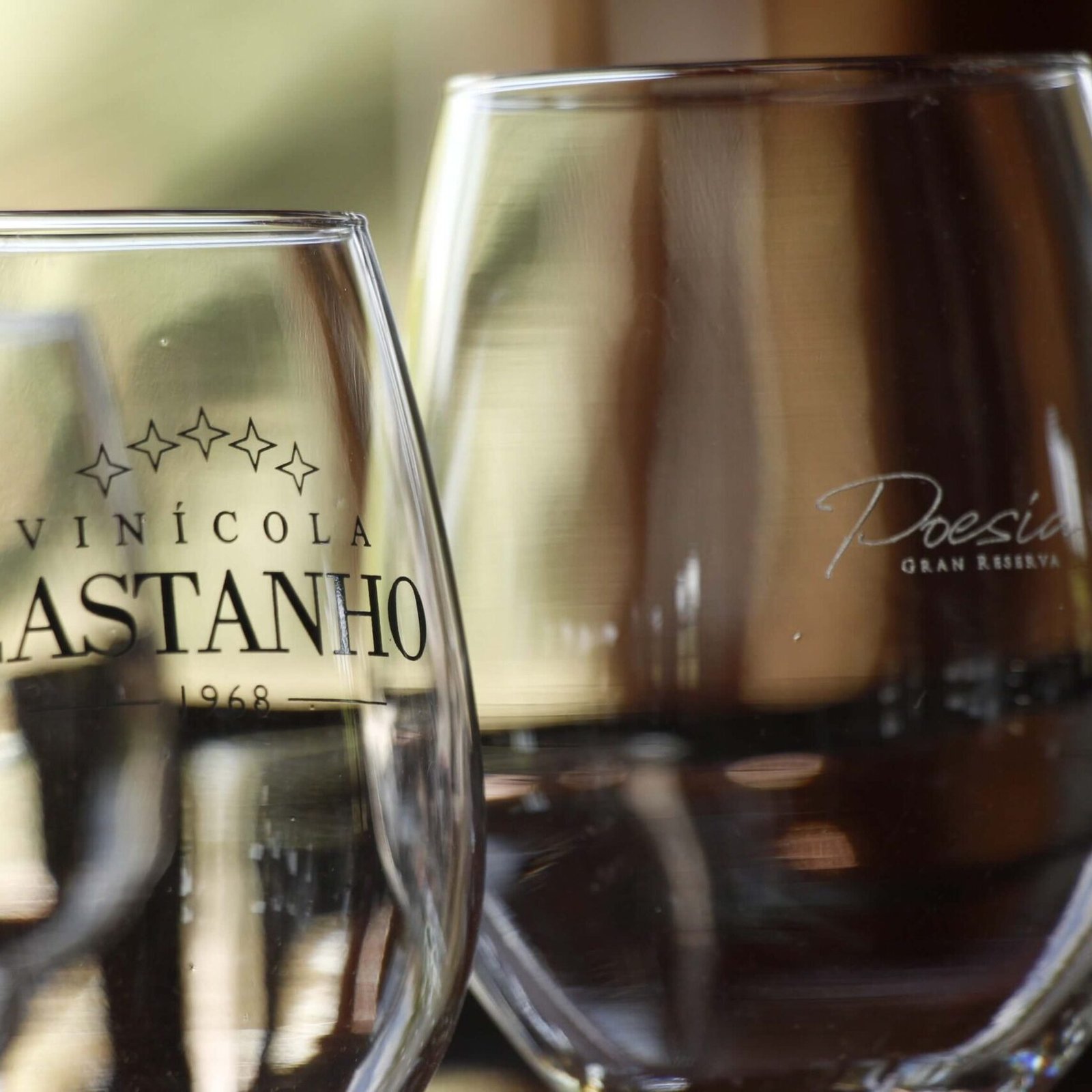 Tour do vinho em Jundiaí - Vinícola Castanho