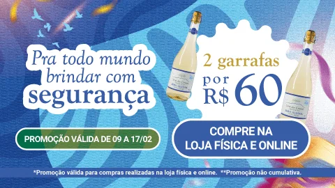 Vinicola Castanho Carnaval 2026 Banners popup